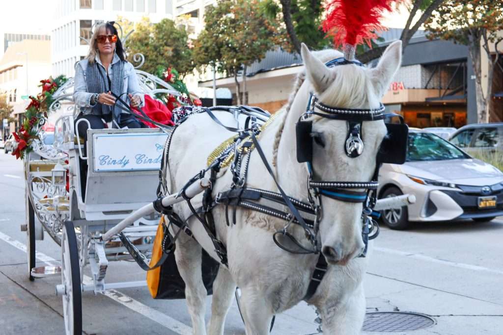 ChristmasPasadenaHorseCarriage
