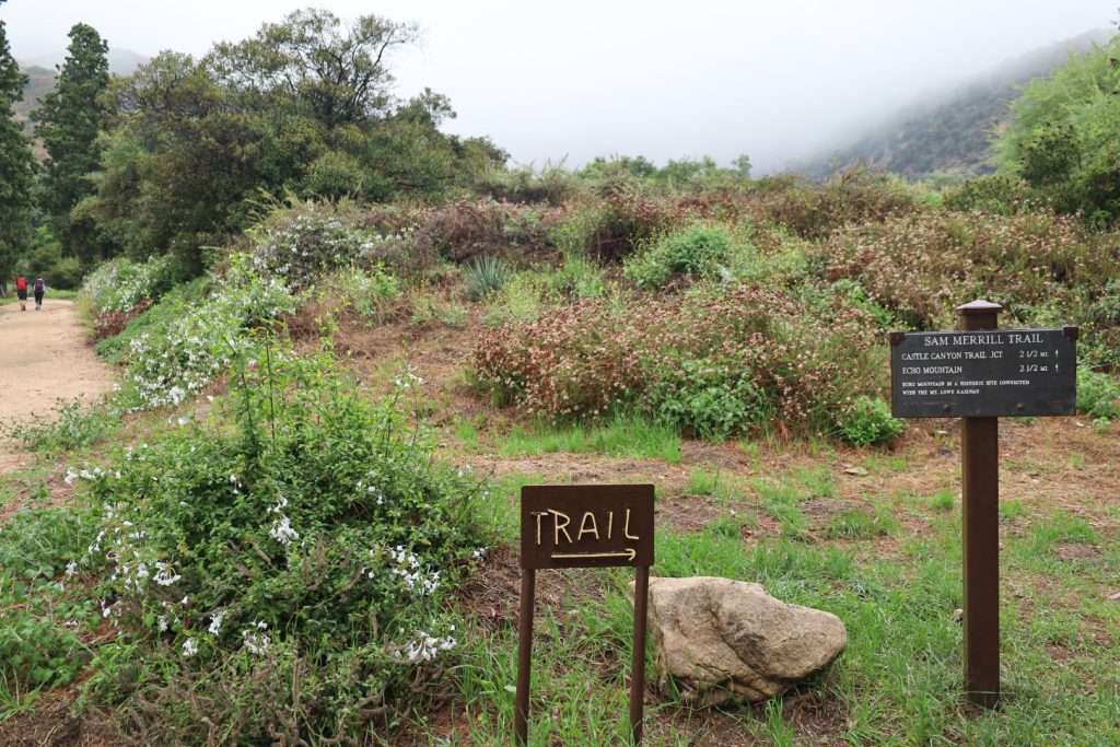 HikingTrailsNearPasadena