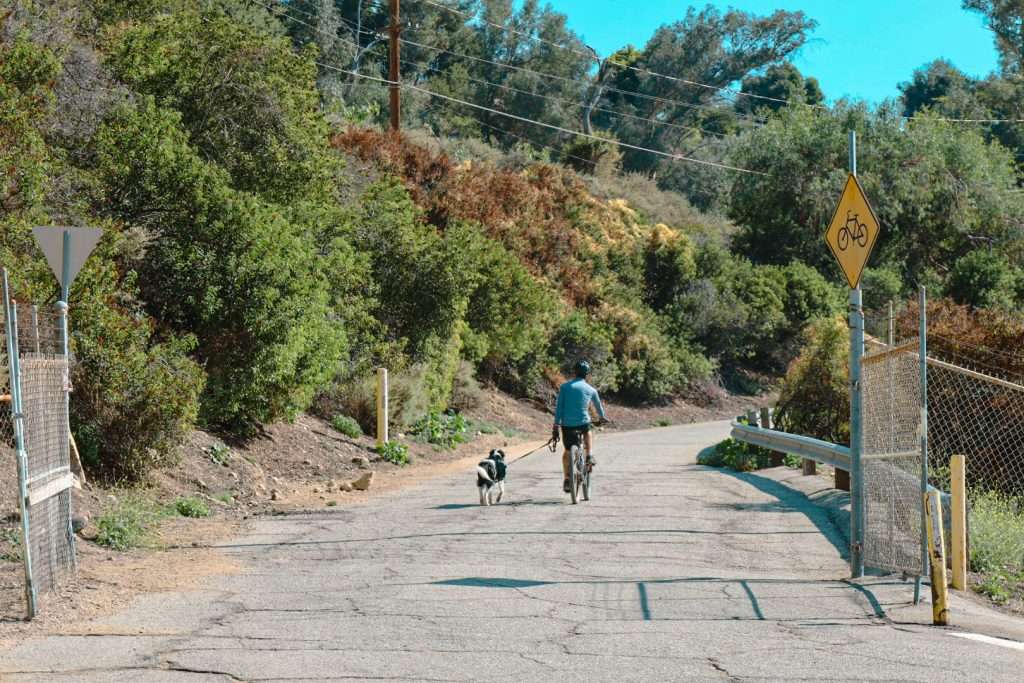 Pasadena_Hahamongna_Park_dogs